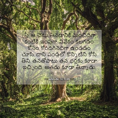 Picture 07 - ఆదికాండం 3:6 TELIRV - స్త్రీ, ఆ చెట్టు - Bible Verse Picture