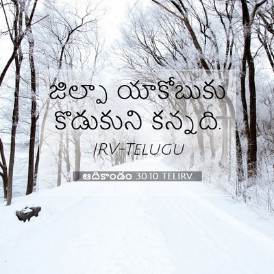Picture 07 - ఆదికాండం 30:10 TELIRV - జిల్పా యాకోబుకు - Bible Verse Picture