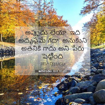 Picture 07 - ఆదికాండం 30:11 TELIRV - అప్పుడు లేయా “ఇది - Bible Verse Picture
