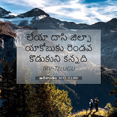 Picture 07 - ఆదికాండం 30:12 TELIRV - లేయా దాసి జిల్పా - Bible Verse Picture