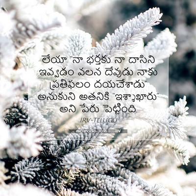 Picture 07 - ఆదికాండం 30:18 TELIRV - లేయా “నా భర్తకు నా - Bible Verse Picture