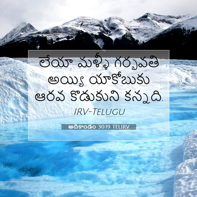 Picture 07 - ఆదికాండం 30:19 TELIRV - లేయా మళ్ళీ - Bible Verse Picture