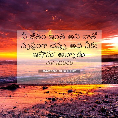 Picture 07 - ఆదికాండం 30:28 TELIRV - నీ జీతం ఇంత అని - Bible Verse Picture