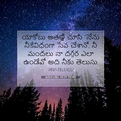 Picture 07 - ఆదికాండం 30:29 TELIRV - యాకోబు అతణ్ణి - Bible Verse Picture