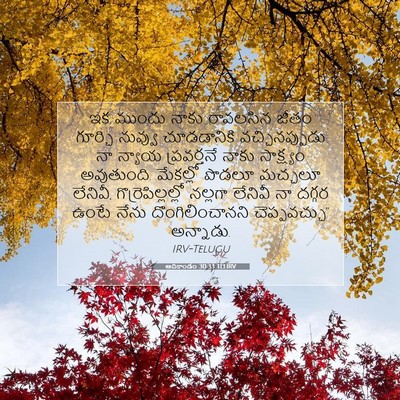 Picture 07 - ఆదికాండం 30:33 TELIRV - ఇక ముందు నాకు - Bible Verse Picture