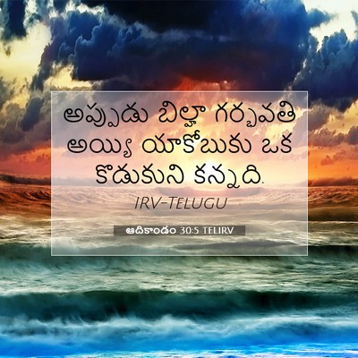Picture 07 - ఆదికాండం 30:5 TELIRV - అప్పుడు బిల్హా - Bible Verse Picture