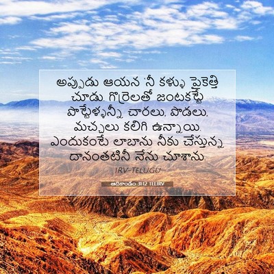 Picture 07 - ఆదికాండం 31:12 TELIRV - అప్పుడు ఆయన ‘నీ - Bible Verse Picture