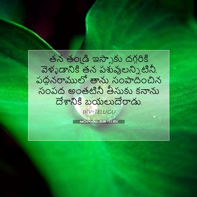 Picture 07 - ఆదికాండం 31:18 TELIRV - తన తండ్రి ఇస్సాకు - Bible Verse Picture
