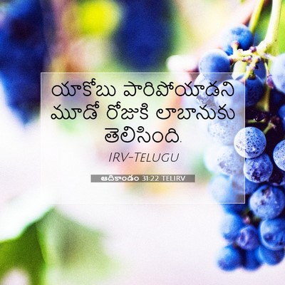 Picture 07 - ఆదికాండం 31:22 TELIRV - యాకోబు - Bible Verse Picture
