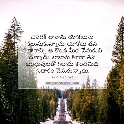 Picture 07 - ఆదికాండం 31:25 TELIRV - చివరికి లాబాను - Bible Verse Picture