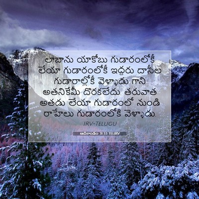 Picture 07 - ఆదికాండం 31:33 TELIRV - లాబాను యాకోబు - Bible Verse Picture