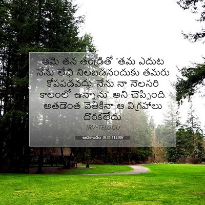 Picture 07 - ఆదికాండం 31:35 TELIRV - ఆమె తన తండ్రితో - Bible Verse Picture