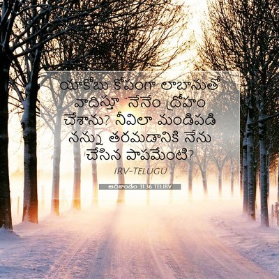 Picture 07 - ఆదికాండం 31:36 TELIRV - యాకోబు కోపంగా - Bible Verse Picture