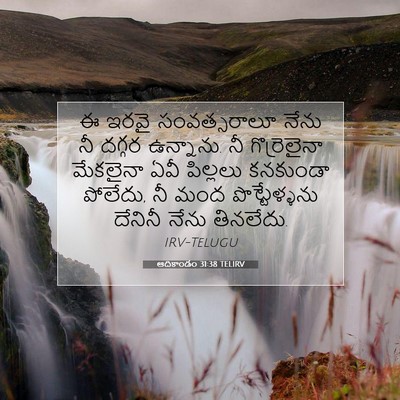 Picture 07 - ఆదికాండం 31:38 TELIRV - ఈ ఇరవై సంవత్సరాలూ - Bible Verse Picture