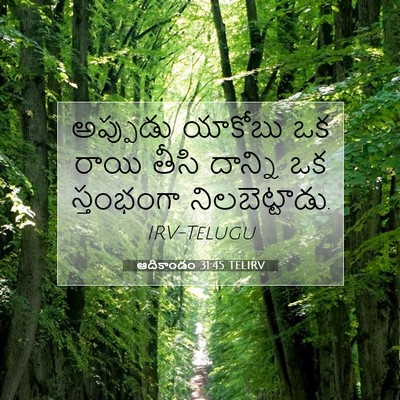 Picture 07 - ఆదికాండం 31:45 TELIRV - అప్పుడు యాకోబు ఒక - Bible Verse Picture