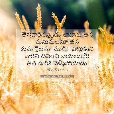Picture 07 - ఆదికాండం 31:55 TELIRV - తెల్లవారినప్పుడు - Bible Verse Picture