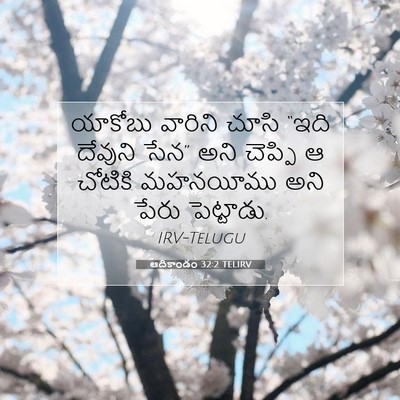 Picture 07 - ఆదికాండం 32:2 TELIRV - యాకోబు వారిని - Bible Verse Picture