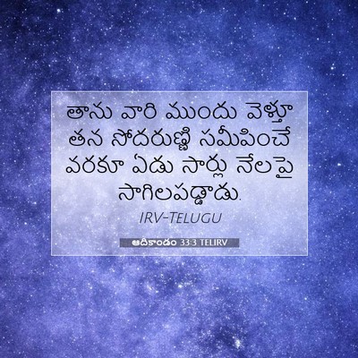 Picture 07 - ఆదికాండం 33:3 TELIRV - తాను వారి ముందు - Bible Verse Picture