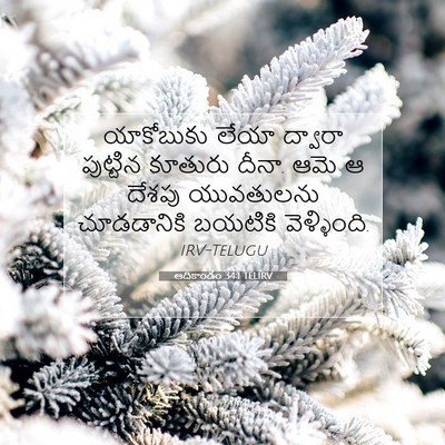 Picture 07 - ఆదికాండం 34:1 TELIRV - యాకోబుకు లేయా - Bible Verse Picture