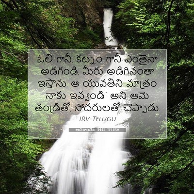 Picture 07 - ఆదికాండం 34:12 TELIRV - ఓలి గానీ, కట్నం - Bible Verse Picture