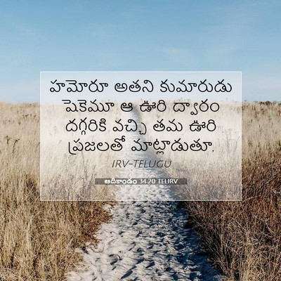 Picture 07 - ఆదికాండం 34:20 TELIRV - హమోరూ అతని - Bible Verse Picture