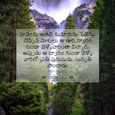 Picture 07 - ఆదికాండం 34:24 TELIRV - హమోరు, అతని - Bible Verse Picture