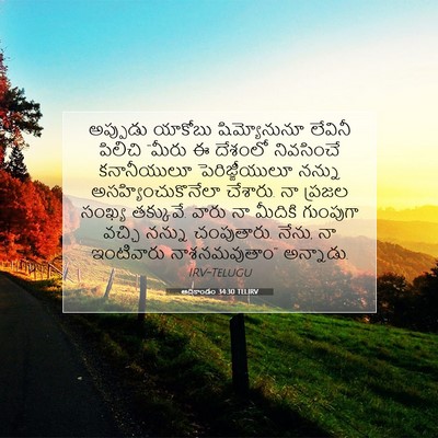 Picture 07 - ఆదికాండం 34:30 TELIRV - అప్పుడు యాకోబు - Bible Verse Picture