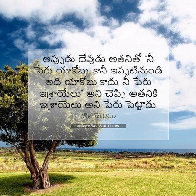Picture 07 - ఆదికాండం 35:10 TELIRV - అప్పుడు దేవుడు - Bible Verse Picture