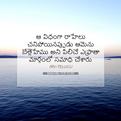 Picture 07 - ఆదికాండం 35:19 TELIRV - ఆ విధంగా రాహేలు - Bible Verse Picture