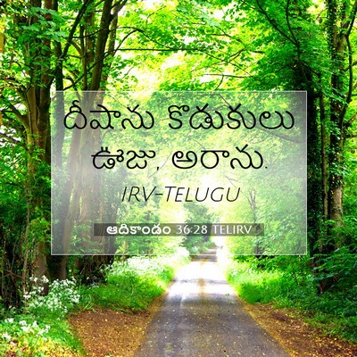 Picture 07 - ఆదికాండం 36:28 TELIRV - దీషాను కొడుకులు - Bible Verse Picture