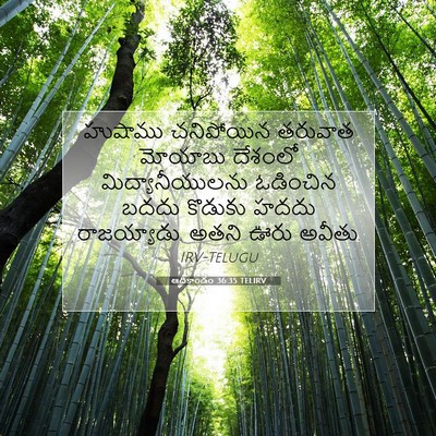 Picture 07 - ఆదికాండం 36:35 TELIRV - హుషాము చనిపోయిన - Bible Verse Picture