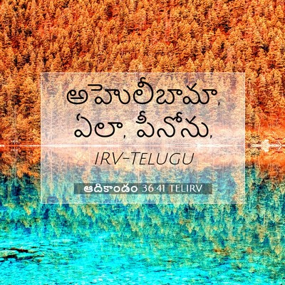 Picture 07 - ఆదికాండం 36:41 TELIRV - అహొలీబామా, ఏలా, - Bible Verse Picture