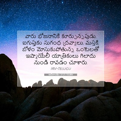 Picture 07 - ఆదికాండం 37:25 TELIRV - వారు భోజనానికి - Bible Verse Picture