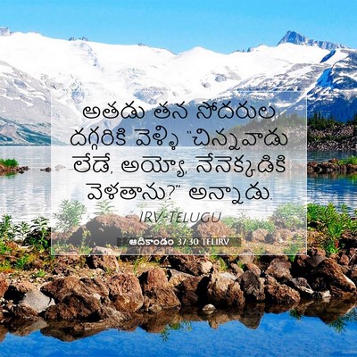 Picture 07 - ఆదికాండం 37:30 TELIRV - అతడు తన సోదరుల - Bible Verse Picture