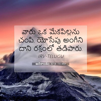 Picture 07 - ఆదికాండం 37:31 TELIRV - వారు ఒక - Bible Verse Picture