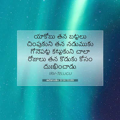 Picture 07 - ఆదికాండం 37:34 TELIRV - యాకోబు తన బట్టలు - Bible Verse Picture