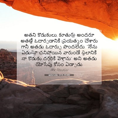 Picture 07 - ఆదికాండం 37:35 TELIRV - అతని కొడుకులు, - Bible Verse Picture