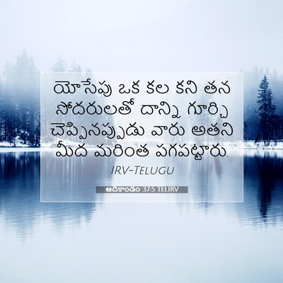 Picture 07 - ఆదికాండం 37:5 TELIRV - యోసేపు ఒక కల కని తన - Bible Verse Picture