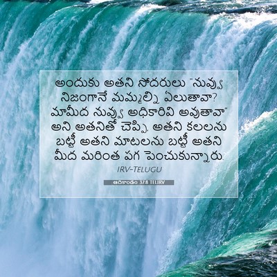 Picture 07 - ఆదికాండం 37:8 TELIRV - అందుకు అతని - Bible Verse Picture