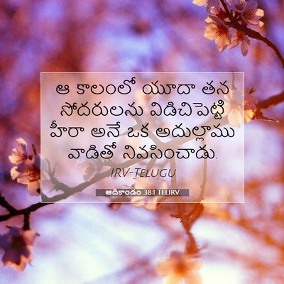 Picture 07 - ఆదికాండం 38:1 TELIRV - ఆ కాలంలో యూదా తన - Bible Verse Picture