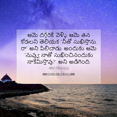 Picture 07 - ఆదికాండం 38:16 TELIRV - ఆమె దగ్గరికి - Bible Verse Picture