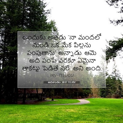 Picture 07 - ఆదికాండం 38:17 TELIRV - అందుకు అతడు “నా - Bible Verse Picture
