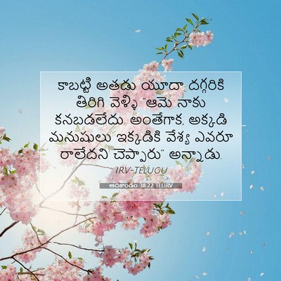 Picture 07 - ఆదికాండం 38:22 TELIRV - కాబట్టి అతడు యూదా - Bible Verse Picture