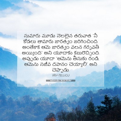 Picture 07 - ఆదికాండం 38:24 TELIRV - సుమారు మూడు - Bible Verse Picture