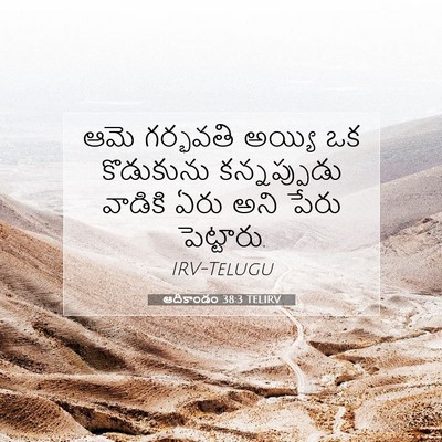 Picture 07 - ఆదికాండం 38:3 TELIRV - ఆమె గర్భవతి అయ్యి - Bible Verse Picture