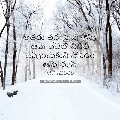 Picture 07 - ఆదికాండం 39:13 TELIRV - అతడు తన పై - Bible Verse Picture