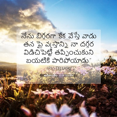 Picture 07 - ఆదికాండం 39:18 TELIRV - నేను బిగ్గరగా కేక - Bible Verse Picture