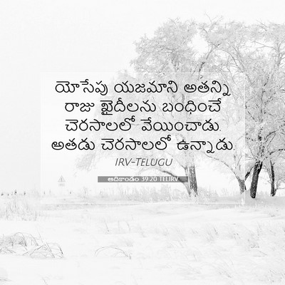 Picture 07 - ఆదికాండం 39:20 TELIRV - యోసేపు యజమాని - Bible Verse Picture