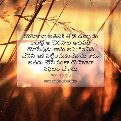 Picture 07 - ఆదికాండం 39:23 TELIRV - యెహోవా అతనికి - Bible Verse Picture