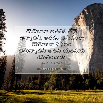 Picture 07 - ఆదికాండం 39:3 TELIRV - యెహోవా అతనికి - Bible Verse Picture